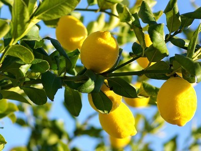 Schoonmaken met citroenzuur