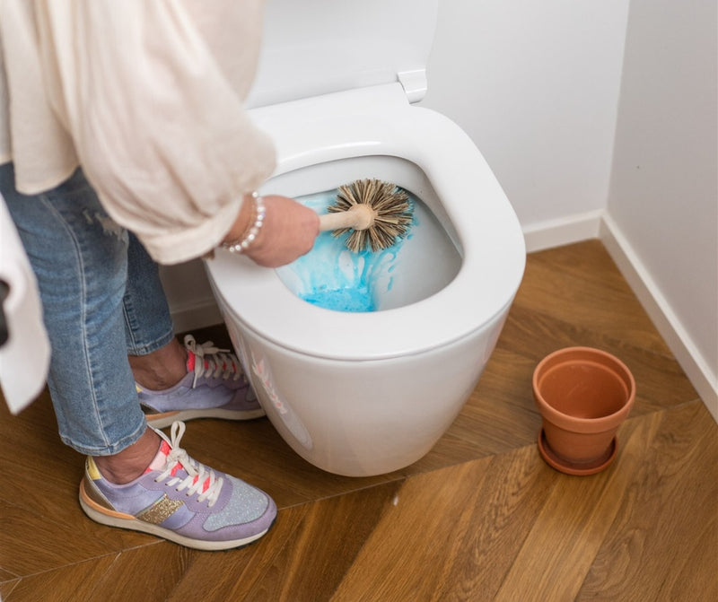 Toiletreiniger capsules - Eucalyptus - 15 stuks