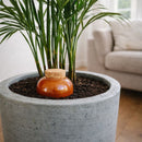 Waterdruppelaar - olla - terracotta - 270 ml