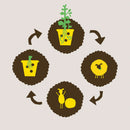 Wolkorrels - plantenvoeding - 1 liter