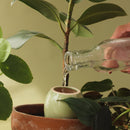 Waterdruppelaar - olla MINI - set van 3