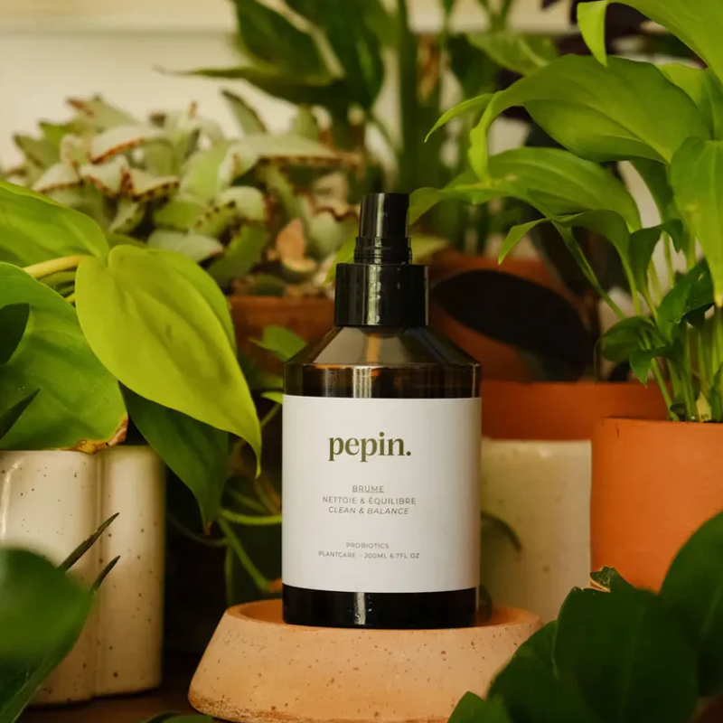 Reinigende mist voor planten - met probiotica - 200 ml