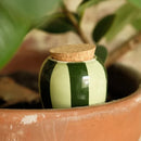 Waterdruppelaar - olla - groene streepjes - 250 ml