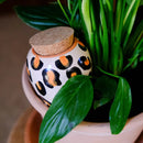 Waterdruppelaar - olla - luipaard - 250 ml