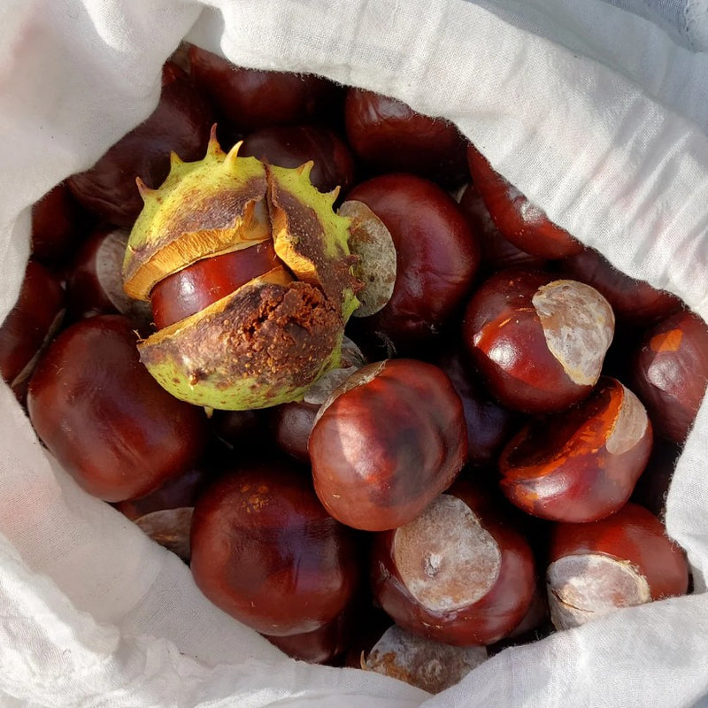 Wasmiddel van Wilde Kastanje - 50 wasbeurten - 300 gram