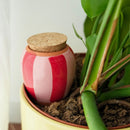 PRE ORDER - Waterdruppelaar - olla - roze en rood gestreept - 250 ml