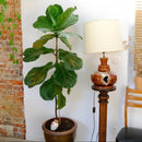 Waterdruppelaar - olla - Hart - 250 ml