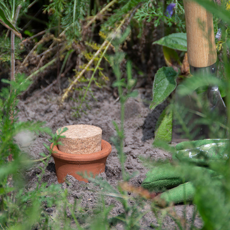 Terracotta irrigatiesysteem - Olla - 1,9 liter