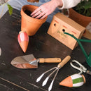 Waterdruppelaar - olla MINI - set van 3