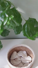 Wasnet - Bio Katoen - met aantrekkoord