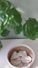 Wasbare wattenschijfjes - 5 stuks - Bio Katoen