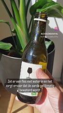 Waterdruppelaar - Terracotta - small - set van 4