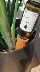 Waterdruppelaar - Terracotta - small - set van 4