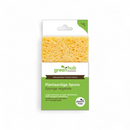 Huishoudspons - cellulose