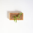 Shampoo - Rozemarijn - 100 gram