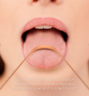 Tongschraper van koper